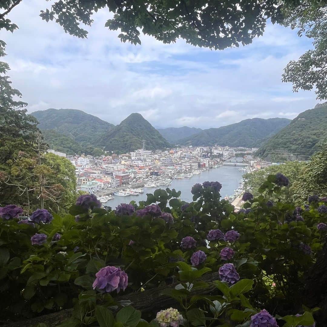 クリス智子さんのインスタグラム写真 - (クリス智子Instagram)「美しかった景色、 伊豆、あじさい。  ちょっとした高低差が、 景色をみるみる変える伊豆の地形。  海と小高い山の近さは、鎌倉と似ているようで、あたりまえだけど、全然違う。生活の景色。船と家家の密集。  #伊豆」6月26日 10時42分 - chris_tomoko