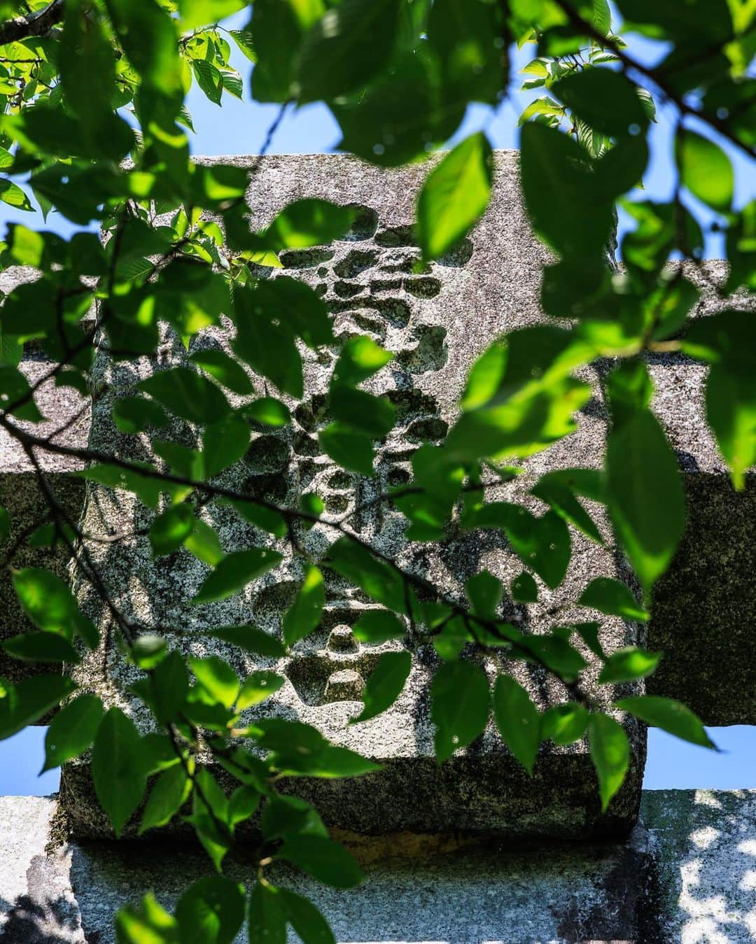 SHOCK EYEさんのインスタグラム写真 - (SHOCK EYEInstagram)「福岡県にある竈門神社は、 背後にそびえる宝満山を信仰とする由緒ある神社。 太宰府の鬼門に立ち、古来から鬼門封じとしてこの地を守ってきた存在。 ご利益である縁結び、方除け、厄除けを求めて、沢山の参拝者が訪れているよ。  近年はその名前から鬼滅の刃好きの聖地にもなっている場所でもある。  とにかく清々しく本当気持ちの良い神社さん✨ 境内は清流や池、美しい緑に囲まれていて穏やかなひとときを提供してくれる。  鳥居を潜った瞬間から両脇の背の低い木々のトンネルのような参道、緑の葉に埋もれたような二つ目の鳥居がなんとも良くてさ＾＾  僕が訪れた時には境内の至る所に奉納された紫陽花飾りがあって、彩りを添えていたよ。 デザインがオシャレな授与所もいい感じ。  春は桜、秋は紅葉と、四季折々の姿が見れるそうだから、是非訪れてみてね。 オススメだよ＾＾  #竈門神社 #宝満宮 #宝満宮竈門神社 #鬼滅の刃 #神社」6月26日 10時53分 - shockeye_official