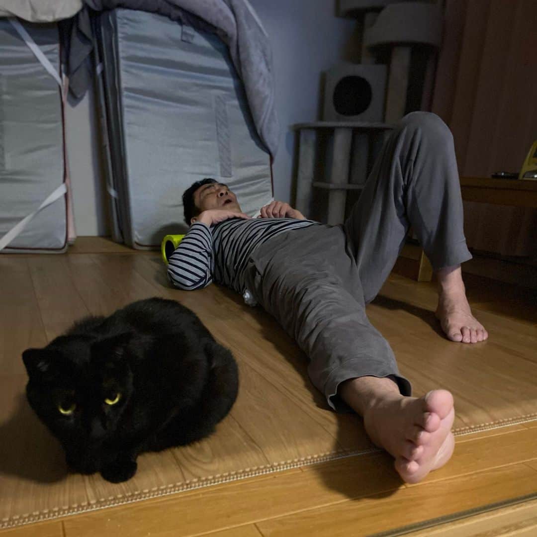 nemuru_catさんのインスタグラム写真 - (nemuru_catInstagram)「#ベム#眠る夫  いつものことだけど 布団で寝ればいいのに * #ねこ部#cat#cats#neko#猫#catsofinstagram#bestmeow#catlover#ふわもこ部#黒猫」6月26日 2時37分 - nemuru_cat