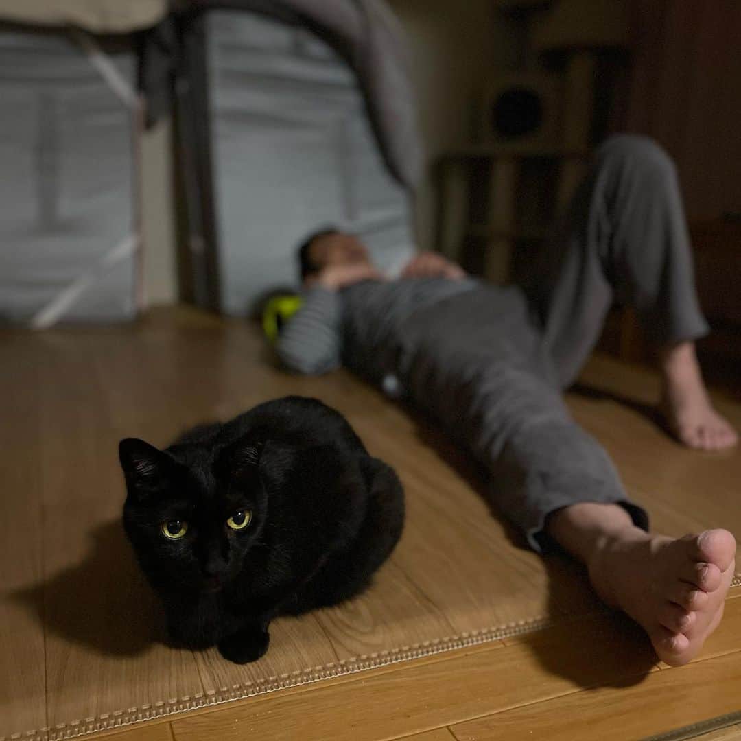 nemuru_catのインスタグラム：「#ベム#眠る夫  いつものことだけど 布団で寝ればいいのに * #ねこ部#cat#cats#neko#猫#catsofinstagram#bestmeow#catlover#ふわもこ部#黒猫」