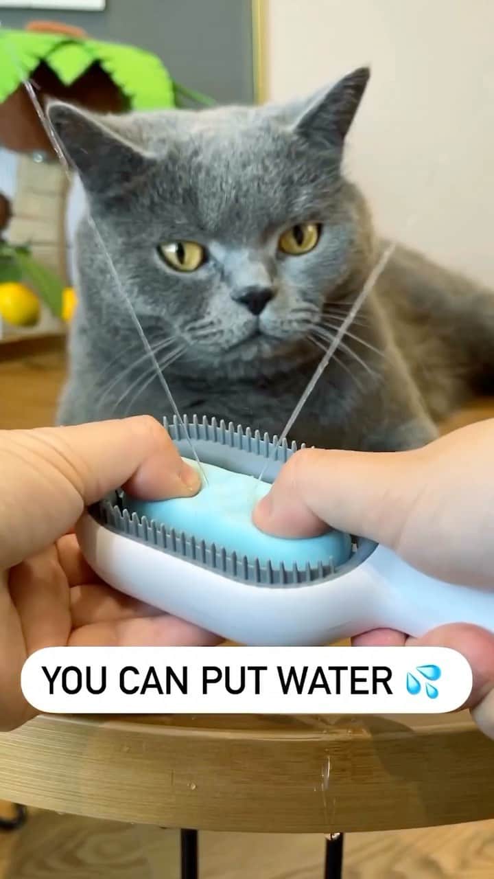 Cute Pets Dogs Catsのインスタグラム：「Captures 78% more hair while brushing!  Only today 33% off 🎉  Link in our Bio @kittens_of_world  You can find all additional information on our 9Lives store.  #catsofinstagram #catlover #catlovers #gato #catsagram #caturday #cats_of_world #catsofworld #catselfie #catsdaily #catnip #catslove #catsuit #catsworld #catsforlife #catslifestyle #catsinstagram #catrules #catvideooftheday #catphotoshoot #caturdaynight #catventures #catvids」