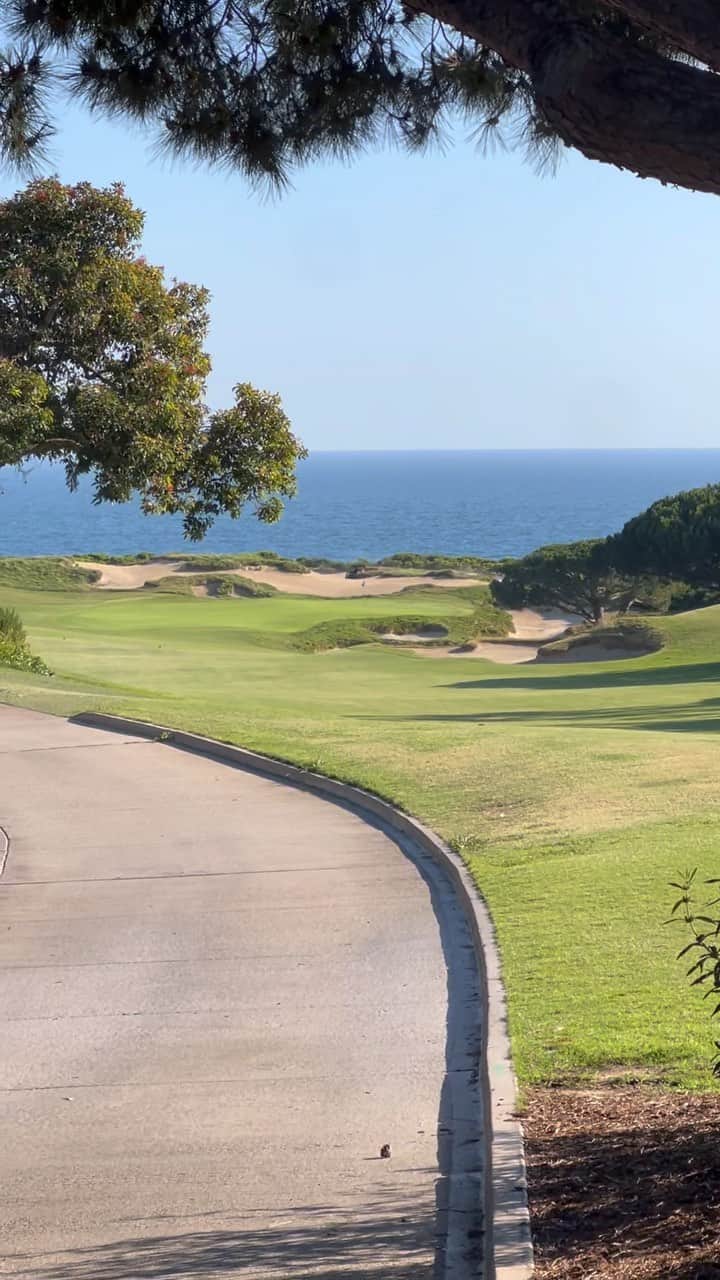 スティーブン・コレッティのインスタグラム：「Let’s go golfing. 🎯」
