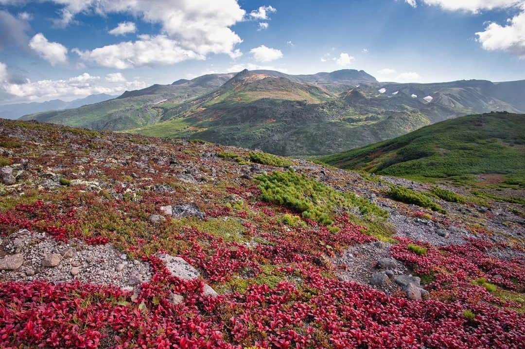 日本の国立公園のインスタグラム：「Fall for the Stunning Fall Scenery in Hokkaido 🍂🏔️  Calling all hikers and climbers! Prepare to have your senses set ablaze as autumn descends upon Daisetsuzan National Park, coloring the landscapes with a breathtaking tapestry of vibrant reds, oranges, and yellows. Mt. Kurodake's foliage show begins in early August with the Japanese azaleas  transforming from deep green to a stunning crimson near the top of the mountain and moving down to the foot of the mountain and the Sounkyo Gorge over the course of a month.🌲🍁  Asahidake Resort and Kurodake Resort, the park's main hubs, provide ropeways that transport you to stunning vistas. The Asahidake Ropeway leads to the Sugatami Highland Plateau, where alpine forests flaunt their brilliant autumn hues. If luck is on your side, you might even catch an early-season snowfall! Meanwhile, the Kurodake Ropeway treats you to breathtaking views of Sounkyo Gorge and a golden landscape of deciduous trees. 🚠🍂  Mark your calendars for September to catch the first fireworks of fall color in Hokkaido, erupting on the peaks and slowly coming down to the valleys. 🍁🔥  📍 Daisetsuzan National Park, Hokkaido  📸 View from the summit of Mt. Kurodake in Daisetsuzan National Park (Photo By : @miki.f.130)  #DaisetsuzanNationalPark #AutumnColors #MountainClimbing #HikingAdventures #TrekkingTours #FallFoliage #RopewayRides #HotSprings #NatureEscape #Hokkaido #Japan #Travel #Tourism #ExploreJapan #DiscoverJapan #VisitJapan #日本 #国立公園」