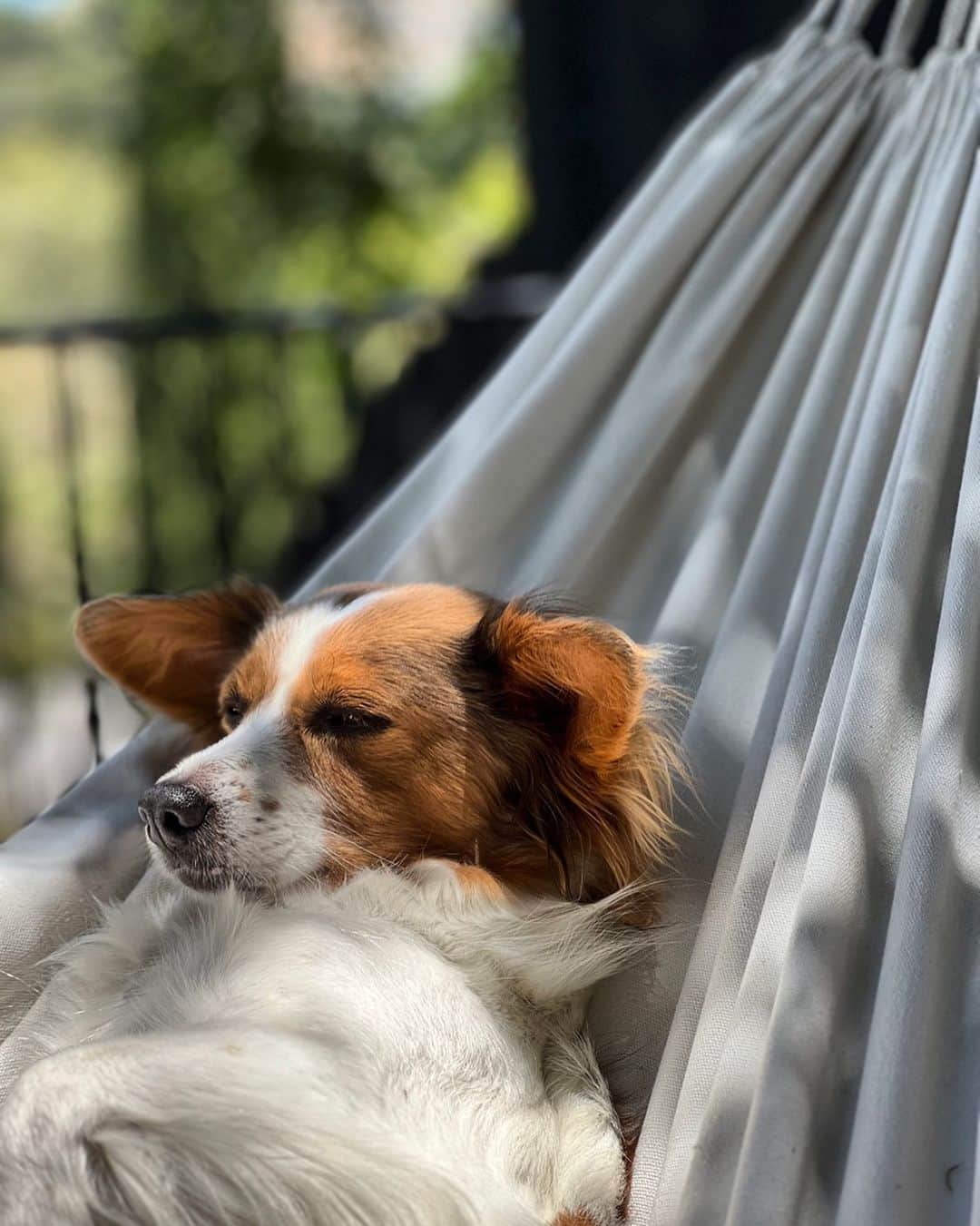 コンスタンス・ジマーのインスタグラム：「#sunday #mood」