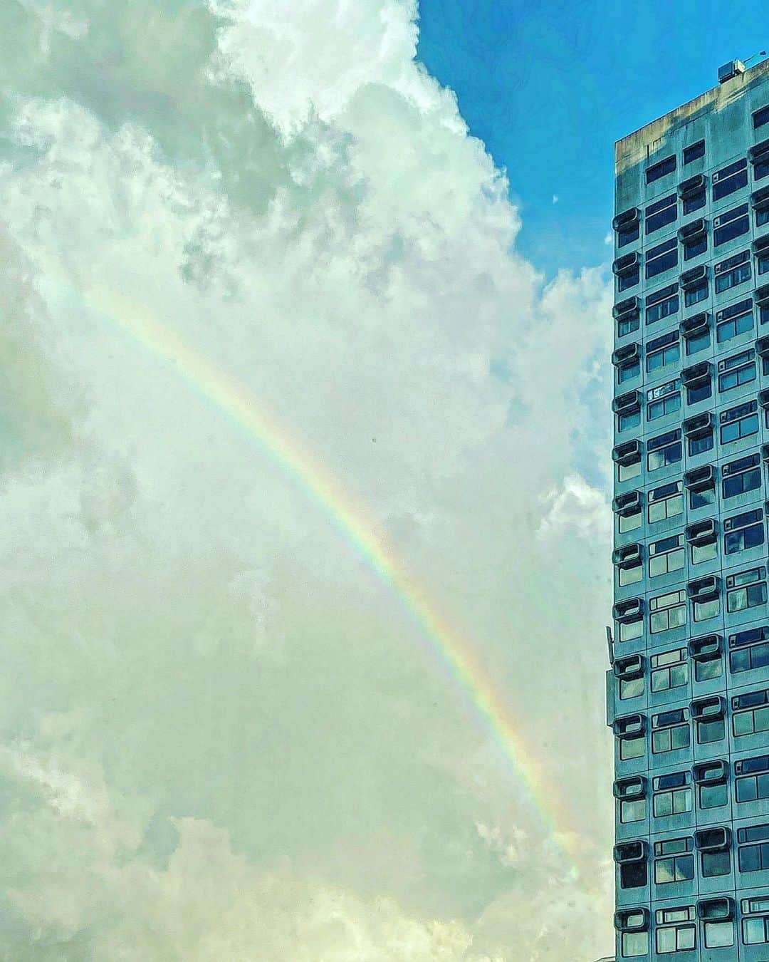 デビッド・モリシーのインスタグラム：「Pot Of Gold」