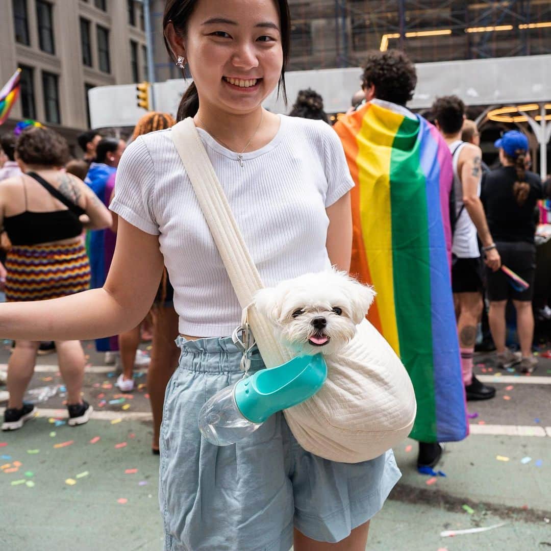 The Dogistさんのインスタグラム写真 - (The DogistInstagram)「Kulfi, Pumba, Millie, Mochi, Mila, Theo, Dimi, Lily, Dogs of the 2023 NYC Pride Parade, New York, NY • Happy Pride! 🏳️‍🌈」6月26日 4時56分 - thedogist