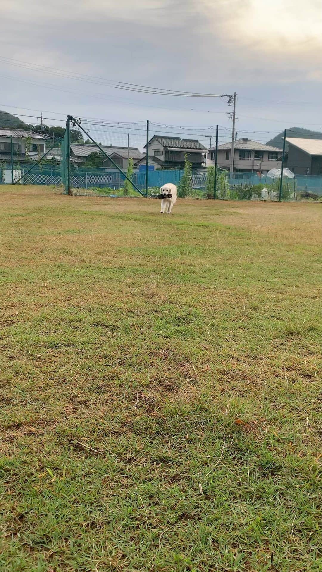 P太郎ママのインスタグラム