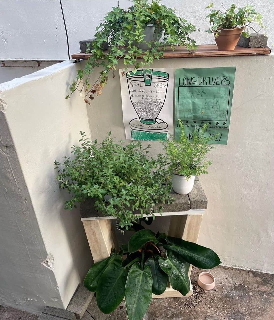 堀江聖夏のインスタグラム：「🌱🌳🍃」