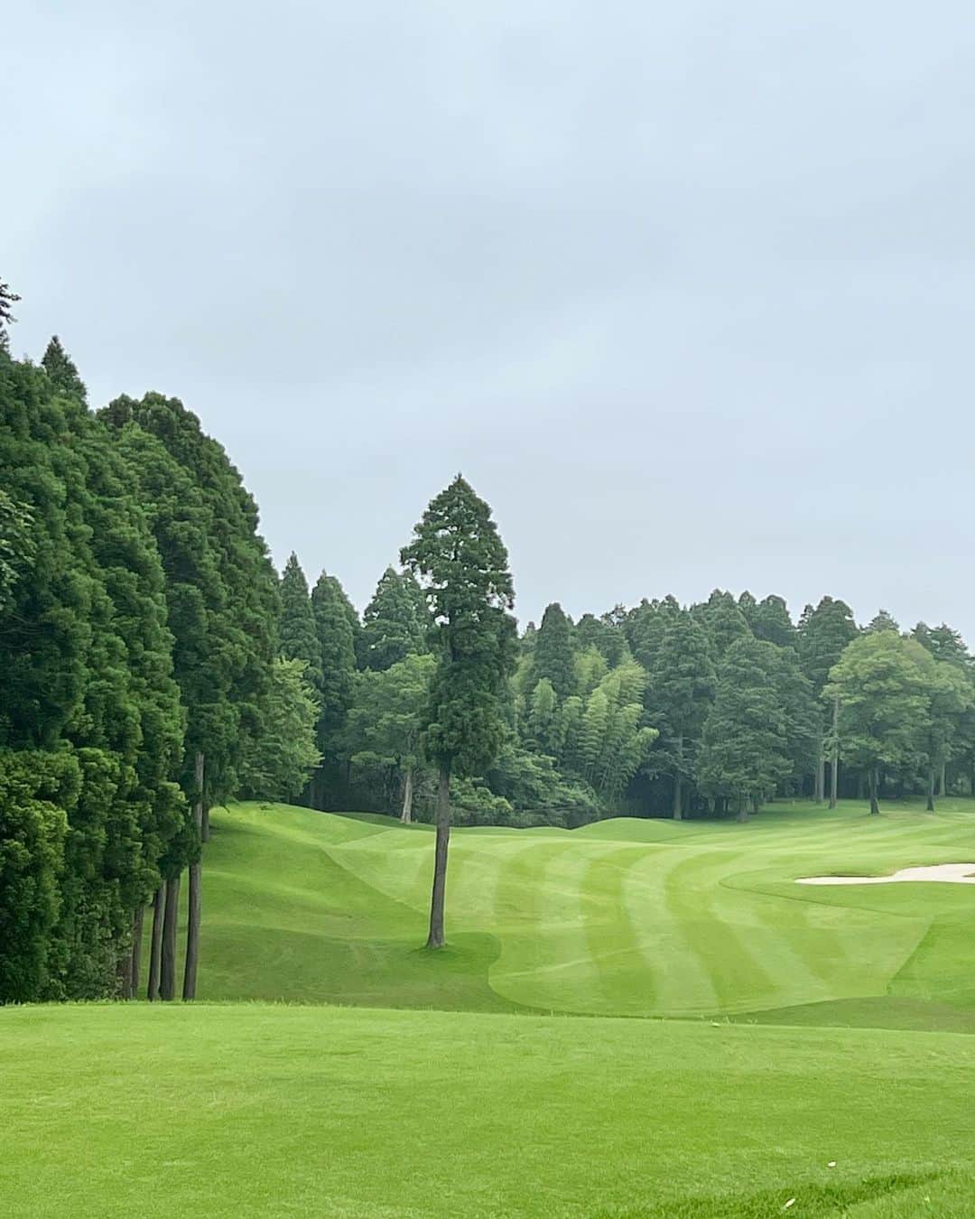 ImotoEtsuyo さんのインスタグラム写真 - (ImotoEtsuyo Instagram)「#おはようございます ・ 先週のゴルフは 久しぶりに #ヌーヴェルゴルフ倶楽部 へ。 ・ ・ 天気が心配でしたが 曇りでゴルフ日和⛳️ ・ ・  この日の　#ゴルフウェア は 大好きなランバンスポールで❤️  #サンバイザー #セットアップ #ニーハイソックス 全て @lanvin_sport_official  #ランバンスポール #lanvinsport  ・ #キャディバッグ  #カートバッグ  #クラブカバー  も @lanvin_sport_official  #lanvinsport  ・ ノースリーブの袖口にある 2枚のプリーツがかわいい。  ノースリーブとスカートの セットアップなので ワンピースの様に着られます。  単品使いでも コーディネートもしやすい❤️ ・ #pic 2 のクラブカバーは @sayurinegolf のもの。 これは#愛犬 ココアをイメージ。 プレゼント🎁で頂いた物🤍 #愛用中  ・ ピアスは @pluster.jp のもの。 ・ #golf  #golfwear  #golfswing  #golflife  #ゴルフ #ゴルフ女子  #ゴルフコーデ  #ゴルフファッション  #golffashion  #fashion  #ゴルフ場  @nouvelle2001  ・ ・ #梅雨」6月26日 7時44分 - bisuhada