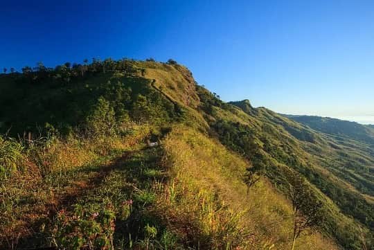 タイ国政府観光庁さんのインスタグラム写真 - (タイ国政府観光庁Instagram)「. タイの「プーランカー森林公園」からおはようございます☀️ᐝ  タイ北部、ラオスと国境を接するパヤオ県で訪れてほしいのが、プーランカー森林公園⛰ 標高900～1,720mの山々を有し、チェンカム郡とポン郡にまたがる、総面積約12.48k㎡のスポットです🌿  特に山頂からの眺めは圧巻!!👏　 11～4月の乾期には、美しい雲海を見ることもできます⛅️💖　隣国ラオスも見渡せますよ👀  アクセス方法は、プーランカー森林事務所(Phulangka Forest Office)から車をチャーターし、山頂近くの駐車場から徒歩で約800ｍ💨  心も体もリフレッシュできそうな、忘れられない光景が待っています☺️  今日も素敵な1日をお過ごしください💐  ★参考になった！と思ったら、あとで見返せるように、 画像右下にある保存ボタン🔖をタップ！  #タイ #パヤオ #プーランカー森林公園 #グリーンツーリズム #エコツアー #自然が好き #自然が好きな人と繋がりたい #自然好き #自然好きな人と繋がりたい #雲海 #今こそタイへ #こんなタイ知らなかった #もっと知りタイ #はじめてのタイ #タイ旅行 #パヤオ旅行 #旅好きな人と繋がりたい #旅行好きな人と繋がりたい #海外旅行 #thailand #phayao #phulangkaforestpark #ecotourism #sustainabletourism #amazingthailand #thailandtravel #thailandtrip #thaistagram #lovethailand #amazingnewchapters」6月26日 8時00分 - amazingthailandjp