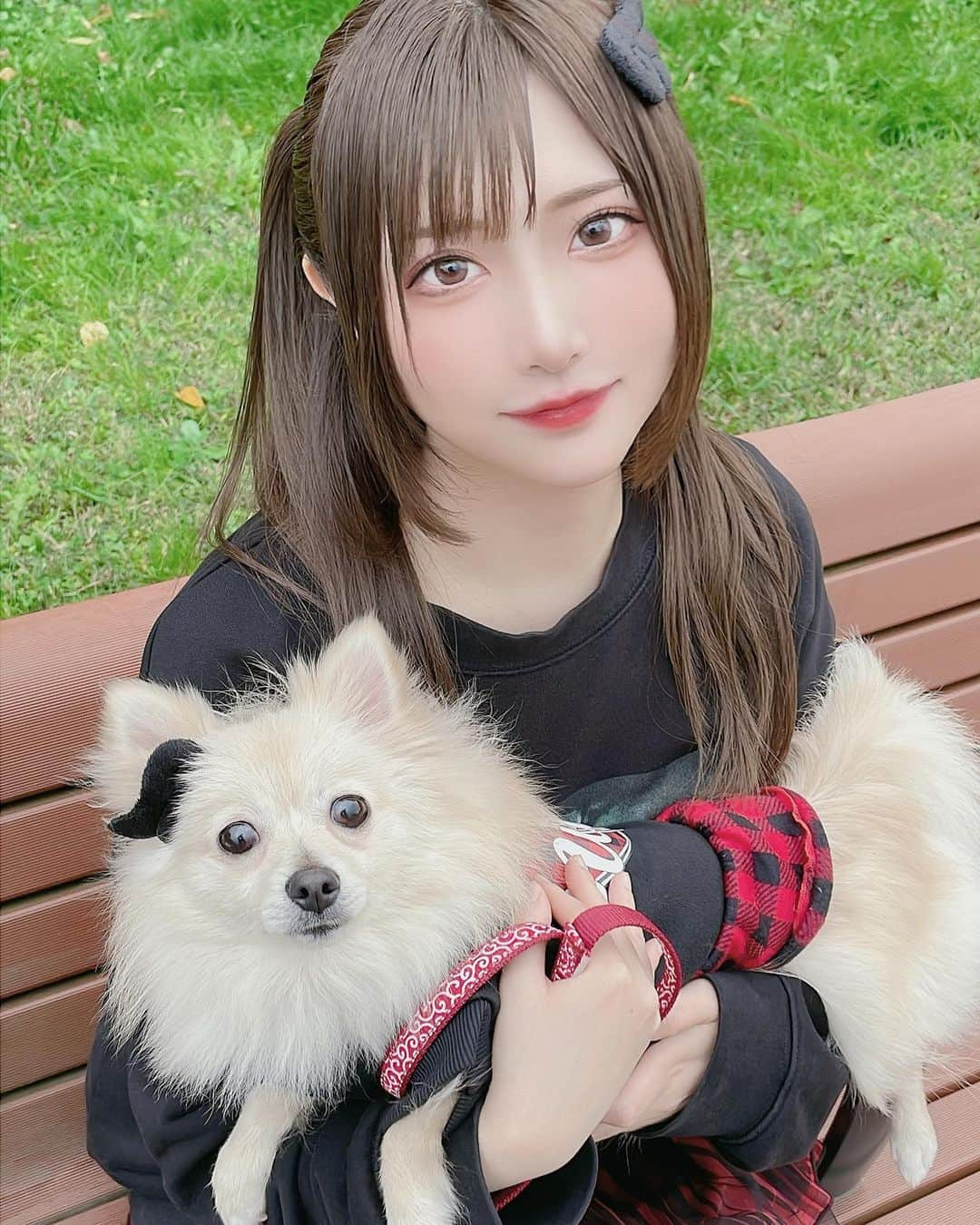 すみれおじさんのインスタグラム：「久々の投稿(*´ω｀*)  #me #photo #japan #japanese #japanesegirl #kawaii #girl #selfie #portrait #linkcode #doglover #pomeranian」