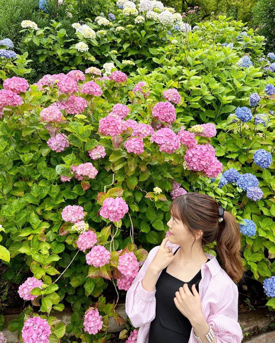 上坂由莉のインスタグラム：「📍善峯寺 紫陽花の見頃もそろそろ終盤に☔️ 梅雨でも大ぶりの紫陽花見れると、 気分が華やかになれるから好きなお花です🩷  そろそろ向日葵が楽しみな季節に突入🌻🍉 ⁡ ⁡ #善峯寺 #善峯寺のあじさい #京都紫陽花 #紫陽花 #京都旅行 #京都旅 #京都おでかけ #京都観光 #梅雨の京都 #京都デート #あじさい #紫陽花苑 #紫陽花コーデ #おでかけコーデ #梅雨コーデ #大人かわいい #ワンピースコーデ #キャミワンピース #ポニーテール #今日のコーデ #夏ワンピ #夏コーデ」
