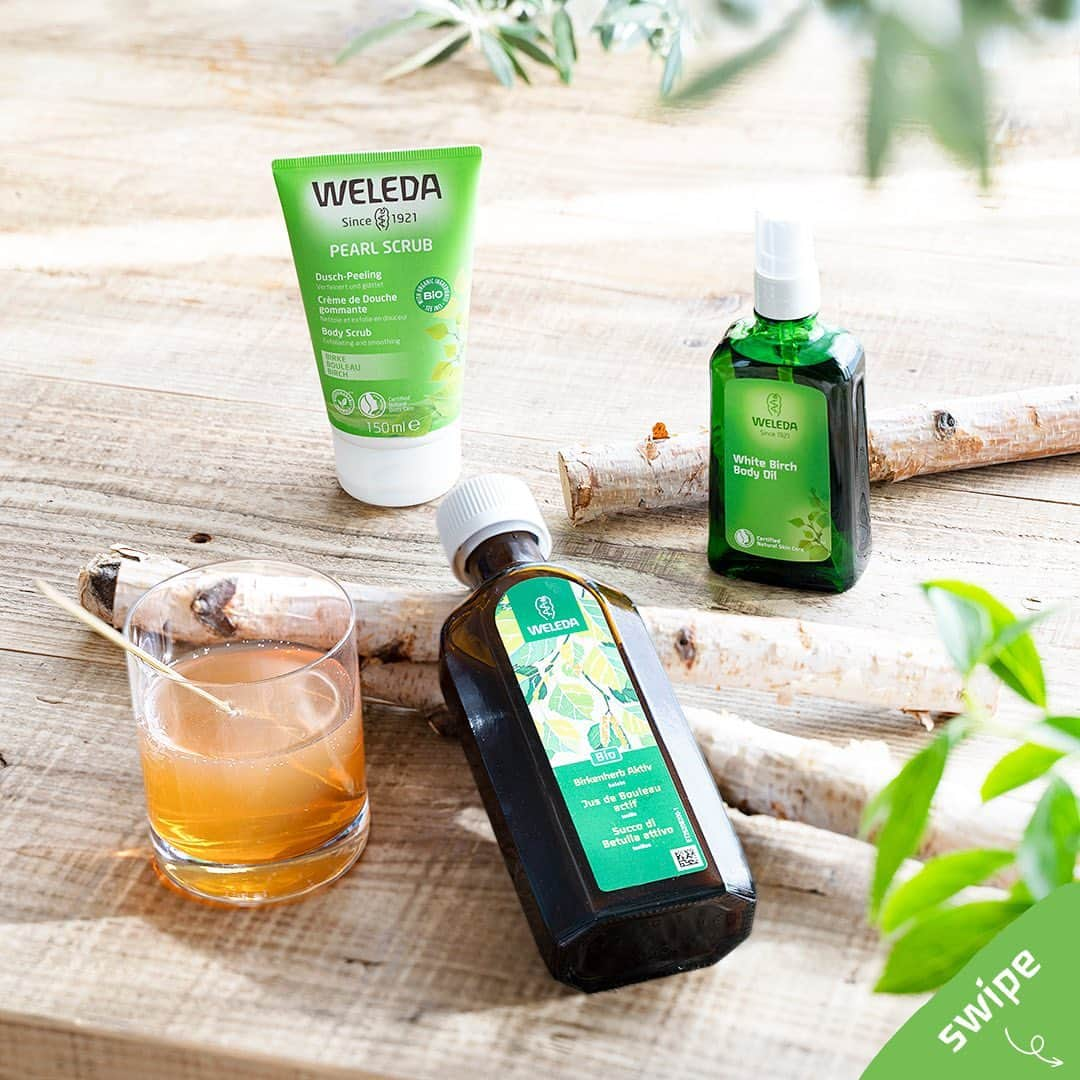 ヴェレダ Weleda Japanのインスタグラム：「【ヘルシーでクリーンな美しさへ💚】 CLEAN BEAUTY with WHITE BIRCH　  美と健康を象徴する北欧の神木であり、 水の「巡り」の能力に優れる植物である ホワイトバーチ*1の力で、 隅々までクリーンでヘルシーな、洗練ボディへ。  本日は、ヴェレダの人気シリーズである ホワイトバーチシリーズをご紹介します。 (画像をスライドしてチェックしてくださいね！)  ホワイトバーチシリーズで、あなたがきれいになるほど、 世界のきれいとしあわせが未来までずっと広がります。  ╭━━━━━━━━━━━━━╮ 　 　　　　どのアイテムが 　　　気になりますか？  ╰━━━━━━ｖ━━━━━━╯  🍋：ホワイトバーチボディオイル 🌿：ホワイトバーチ ピーリングボディウォッシュ ☕️：⽩樺 エリキシール プレーン ぜひ、絵文字を使って、[コメント]で教えてください！  ---------------------------------------------------  商品についての詳細は @weleda_japan のトップページリンクからご覧いただけます。  もう一度見たい方は、 ぜひ「保存」ボタンを押してくださいね！  #ヴェレダ#WELEDA#weleda#オーガニック#オーガニックコスメ#植物療法#シュタイナー#ホリスティック#organiccosmetics#유기농 #敏感肌用#敏感肌でも使える#保湿対策#マッサージオイル#オーガニックオイル#リラックスグッズ#引き締めボディ#二の腕引き締め#脚やせマッサージ#むくみ対策#むくみとり#太ももダイエット#全身マッサージ#ボディウォッシュ#ホワイトバーチ *1 保湿・収れん」