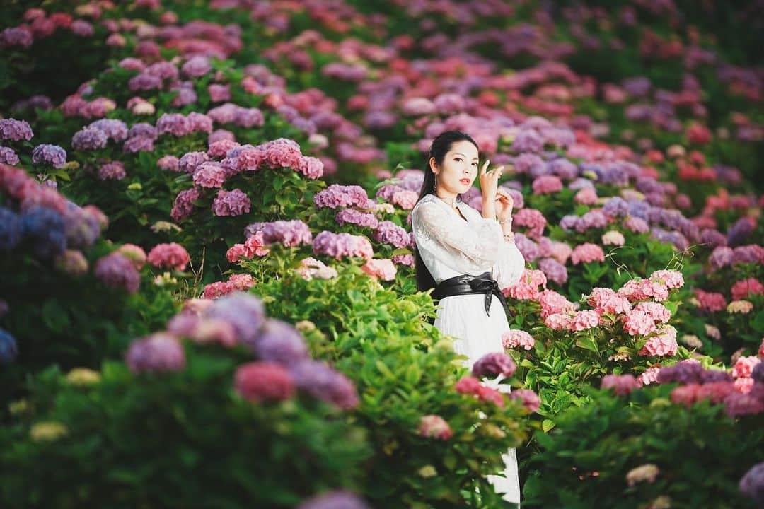 イルコ光の魔術師さんのインスタグラム写真 - (イルコ光の魔術師Instagram)「わぁぁぁぁ、紫陽花でのポートレートが最高❗️みなさん撮りましたか？ここはストロボ一つ使ってます、右からです❗️  風景写真専用アカウント始めたよ👉　@ilko.no.portrait  フォローめっちゃ嬉しいでーす😊  この前消された機材だけのアカウントが復活したよ👉 @ilko.gear  フォローしてくれたらめっちゃ嬉しいでーす😊  ❗️写メ専用アカウントもあるよ👉 @ilkomobile 😊 . モデル: @mi_portrait . . 新しい @ilkomobile アカウントにiPhoneで撮ってるポートレートもアップしますよ！いい光があればカメラ&レンズはなんでもいいと思います .  . #紫陽花 #ポートレート #単焦点レンズ #神戸　#Sony #instagramjapan #85mm　#東京カメラ部 #ig_today #phototricks117 #tokyocameraclub #Strobist #instagramhub #team_jp_ #my_eos_photo #strobist #200mm #portrait_perfection #iphonephotography #イルコ #光の魔術師 #sonya7iv #instagramhub #カメラ女子 #ニーニー  #lovers_nippon #ファインダー越しの私の世界 #写真好きな人と繋がりたい #portrait」6月26日 20時55分 - ilkoallexandroff