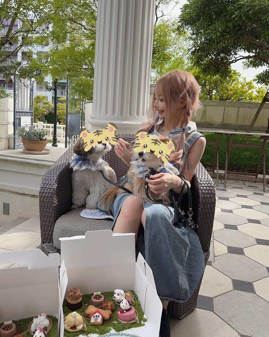 美咲キララさんのインスタグラム写真 - (美咲キララInstagram)「🐶🐶🍃 . アートグレイスウエディングコースト東京ベイ わんちゃんモチーフのアフタヌーンティー☕️🐾 とっても素敵な所だった🥰🩷🩷 . ワンズと水色リボンで合わせたよー🫧🩵୨୧⑅* . . #アートグレイス #アートグレイス新浦安  #アートグレイスウエディングコースト  #アートグレイスウエディングコースト東京ベイ  #アフタヌーンティー #afternoontea  #犬との生活 #犬とお出かけ #テラス席ワンコok  #ペット可 #ペット可カフェ  #キャバクラ #キャバ #キャバクラ嬢 #キャバ嬢 #東京 #新宿 #歌舞伎町  #大阪 #ミナミ #北新地 #自撮り女子 #グラビア #팔로우 #셀카 #自拍 #角色扮演」6月26日 20時57分 - ___krrnano