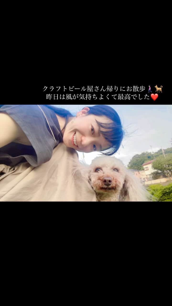 のインスタグラム：「散歩気持ちよかったー🚶🏻‍♀️🐕  #犬のいる暮らし  #ビール好き」