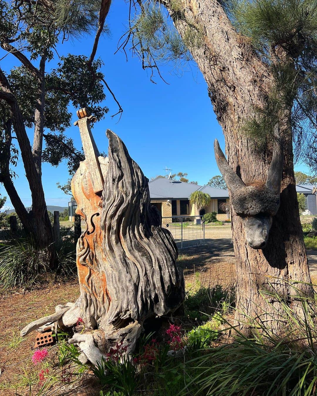 溝呂木世蘭さんのインスタグラム写真 - (溝呂木世蘭Instagram)「木のアートが並んでいる不思議な場所！  📍Chainsaw Sculpture viewing  あんまり知られてない所みたいだった！たまたまインスタの地図見てた時にみつけて  行ってみたんだけど 予想以上に楽しかったぁ♡  木をくっつけてって感じじゃなくて 一本の木を掘って掘ってアートにしてる感じだった♡  #ChainsawSculptureviewing #オーストラリア# Australia#パース# Perth#西オーストラリア#ロードトリップ#キャンピングカー#女子旅#loadtrip #旅好き#旅女#旅行好きな人と繋がりたい」6月26日 20時08分 - seran_0422