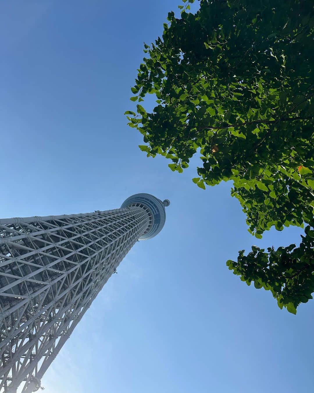 Atsukoのインスタグラム：「・ 東京散歩 ・ ・ マティス展を観にいくために東京へ。その後はいろいろと散策。早朝の銀座散策は、初夏を感じさせる暑さだったので、早めに切り上げた。 ・ ・ #iphone14pro に機種変しました。撮影楽しめるように、これからは時間を有意義に使っていきたい。 ・ ・ ＊」