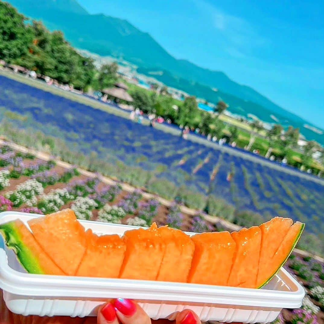 梅野源治さんのインスタグラム写真 - (梅野源治Instagram)「北海道ぶらり旅　バスツアー🚍 (朝から約12時間) ようやく修行が終わりました🥲 たくさん学ばせていただき感謝  大切な人の笑顔を見て 幸せになれない人はいない❤ #妻梅の前では所詮ベビ梅  誰か助けてください」6月26日 20時29分 - genji_umeno