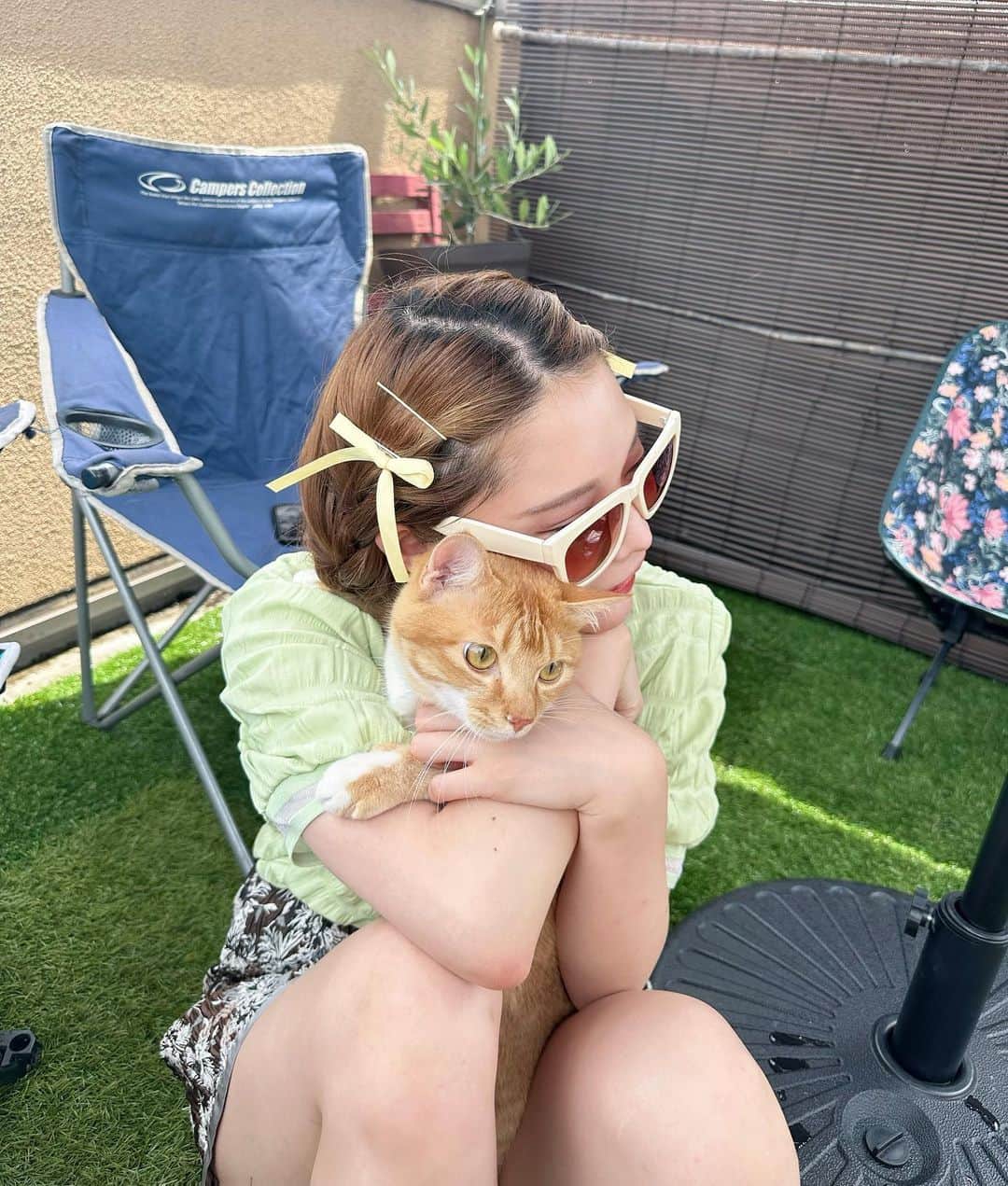 林田沙綾さんのインスタグラム写真 - (林田沙綾Instagram)「ぎゅう嫌がるtitiちゃん。 あーかわいい🐈🐈🐈🐈🐈 きゅるきゅ　る」6月26日 20時46分 - saaya.xoxo
