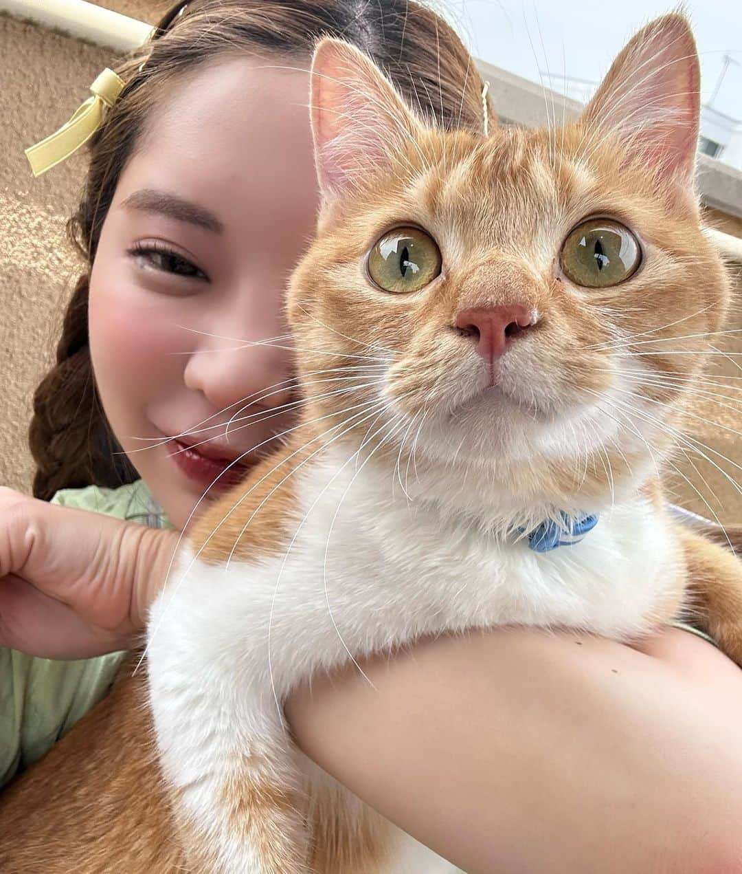 林田沙綾さんのインスタグラム写真 - (林田沙綾Instagram)「ぎゅう嫌がるtitiちゃん。 あーかわいい🐈🐈🐈🐈🐈 きゅるきゅ　る」6月26日 20時46分 - saaya.xoxo