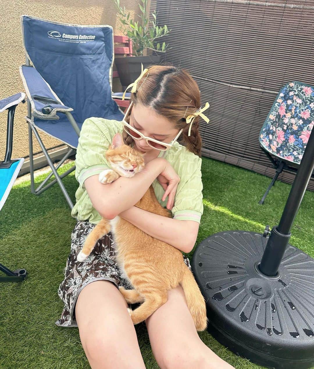 林田沙綾さんのインスタグラム写真 - (林田沙綾Instagram)「ぎゅう嫌がるtitiちゃん。 あーかわいい🐈🐈🐈🐈🐈 きゅるきゅ　る」6月26日 20時46分 - saaya.xoxo