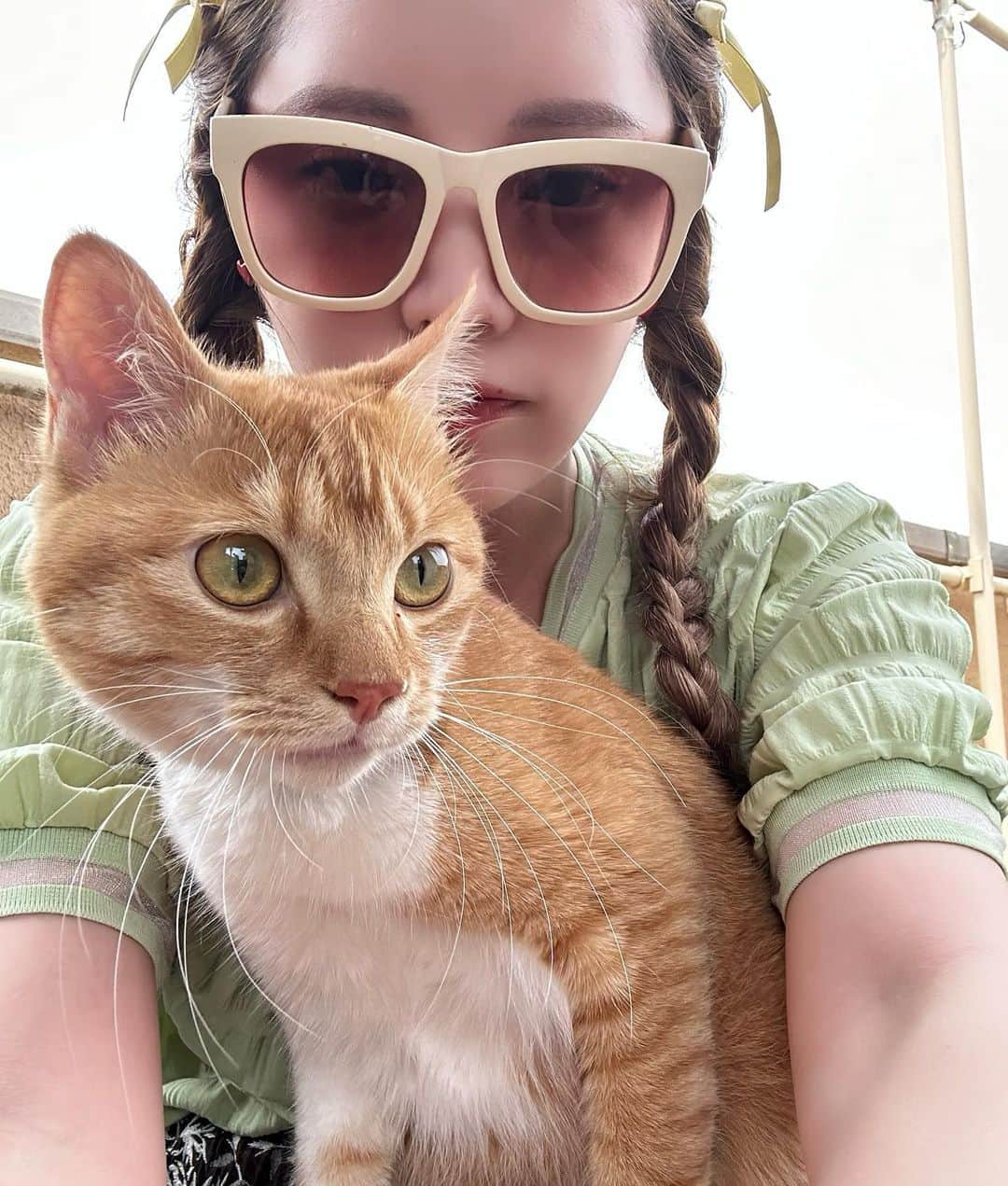 林田沙綾さんのインスタグラム写真 - (林田沙綾Instagram)「ぎゅう嫌がるtitiちゃん。 あーかわいい🐈🐈🐈🐈🐈 きゅるきゅ　る」6月26日 20時46分 - saaya.xoxo