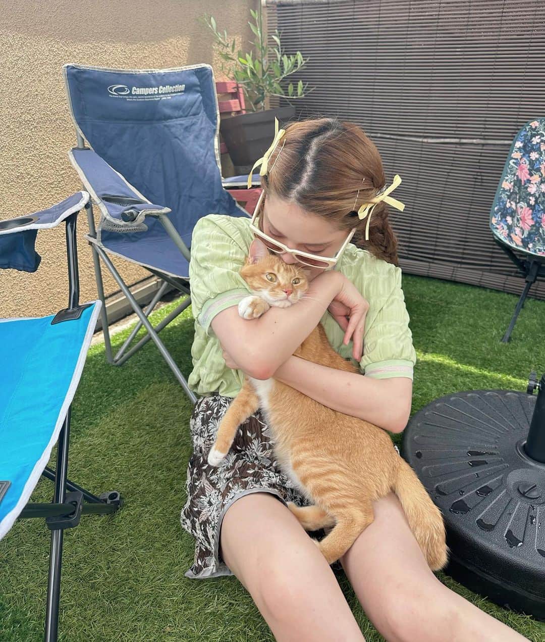 林田沙綾のインスタグラム：「ぎゅう嫌がるtitiちゃん。 あーかわいい🐈🐈🐈🐈🐈 きゅるきゅ　る」