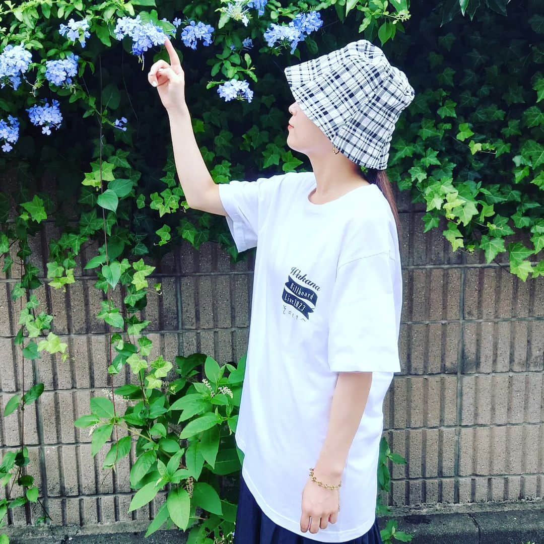 Wakanaのインスタグラム：「今日から「Wakana Billboard Live 2023〜そのさきへ〜」のグッズを紹介していきます‼️🥳🎉 まずはTシャツ👕！ 今回はホワイトにしました〜🤗 シンプルなのでボトムスもハットも自由自在！合わせるものを選びません🌟 胸元にはライブタイトルを、そして背中には日付と場所を載せています！(結構詳細に記載されてる😂)  159センチの私、この写真ではＬサイズを着てるよ☺️ ちょっと長めにゆったり着られて、安心感があります😆  グッズ詳細はこちらをご覧ください✨wakana-fc.jp/contents/648412  #WakanaBillboardLive2023そのさきへ #7月6日ビルボードライブ横浜 #7月20日ビルボードライブ大阪」