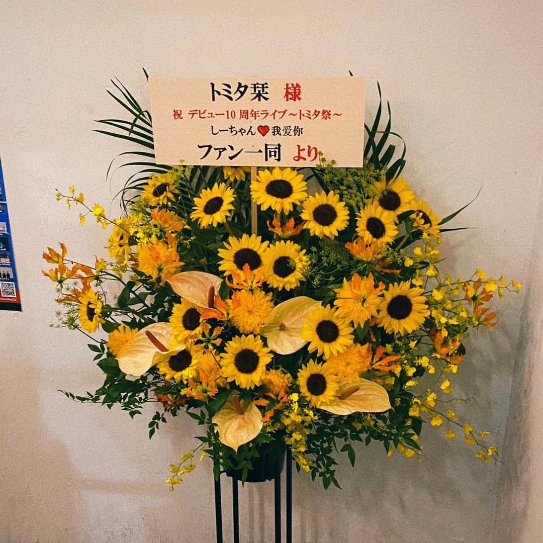 トミタ栞のインスタグラム