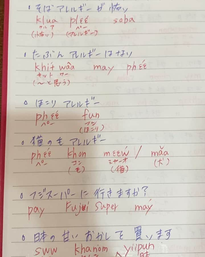 桜 稲垣早希のインスタグラム：「タイ語教室に通って1ヶ月半。色々日常会話を教えてもらい、 『そばアレルギーが怖い』 という事が言えるようになりました😀 #タイ移住 #桜稲垣早希 #そば大好き #アレルギーではない #朝勉」