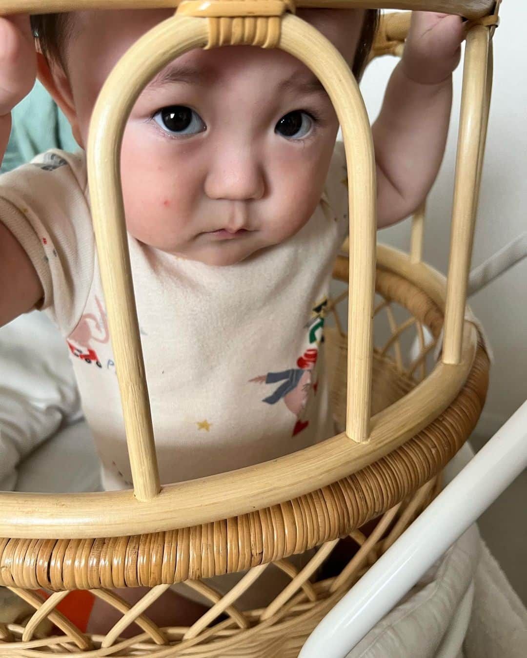 松永ちさとさんのインスタグラム写真 - (松永ちさとInstagram)「🌱👶🎶 最近のぷにけん♡♡ ベビダノン毎日食べてるのに 毎回いやそうにするけどすきみたい もっとくれーて、ふにゃ顔する🤣 ぷすぷすから覗いてなにか訴えてる顔 掴まり立ちも脚ぷるぷるさせて練習中 新入りの紐がお気に入り🤤 仕事帰りに久々に外食した日🍻  #玄ノ進 #おでかけんのしん #8ヶ月ベイビー #10月生まれ #ママコーデ #chisacoordinate」6月26日 12時48分 - chisato_matsunaga