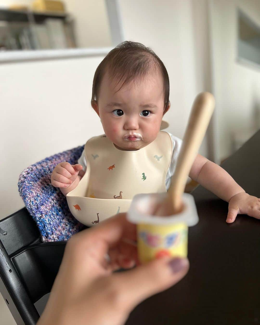 松永ちさとさんのインスタグラム写真 - (松永ちさとInstagram)「🌱👶🎶 最近のぷにけん♡♡ ベビダノン毎日食べてるのに 毎回いやそうにするけどすきみたい もっとくれーて、ふにゃ顔する🤣 ぷすぷすから覗いてなにか訴えてる顔 掴まり立ちも脚ぷるぷるさせて練習中 新入りの紐がお気に入り🤤 仕事帰りに久々に外食した日🍻  #玄ノ進 #おでかけんのしん #8ヶ月ベイビー #10月生まれ #ママコーデ #chisacoordinate」6月26日 12時48分 - chisato_matsunaga