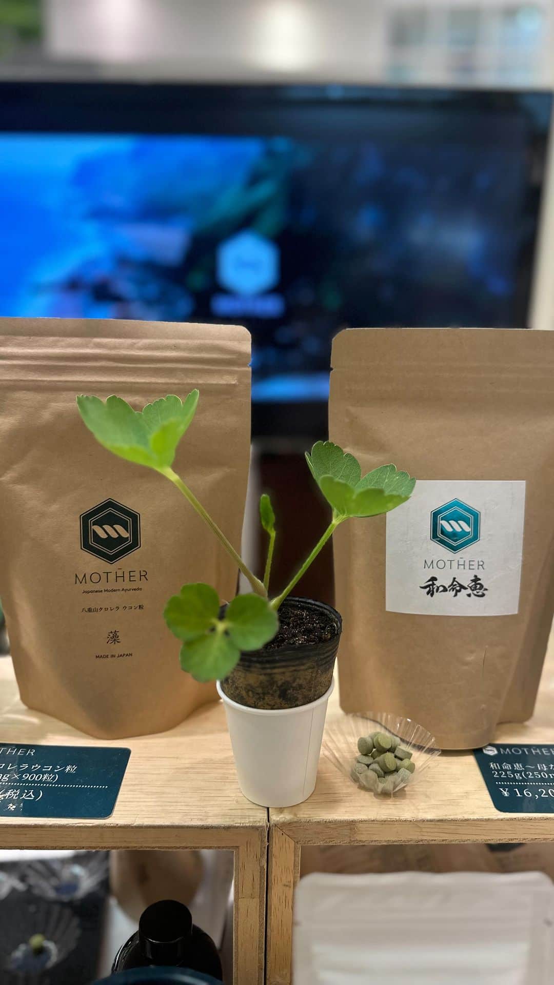 岡清華のインスタグラム：「【 和命恵🍀 〜母なるめぐみ〜 】  MOTHER の期待の新製品、長命草粒の和命恵。 主食材の長命草について、クロレラとの違いについてなど、詳しく説明しました💚🤍  和命恵の納品は、7/5を予定していて、 予約いただいた方から、順次発送させて頂きます。 興味を持っていただける方は、ぜひご予約願います。🫶」