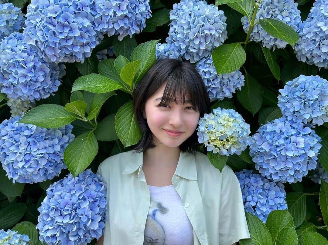 森マリアさんのインスタグラム写真 - (森マリアInstagram)「壱岐⑥  壱岐にはなぜか紫陽花がたくさん咲いてたよ！ 今の時期ならではの景色の中でドライブできて楽しかった✨  #壱岐 #紫陽花 #旅日記」6月26日 13時24分 - maria_mori_official