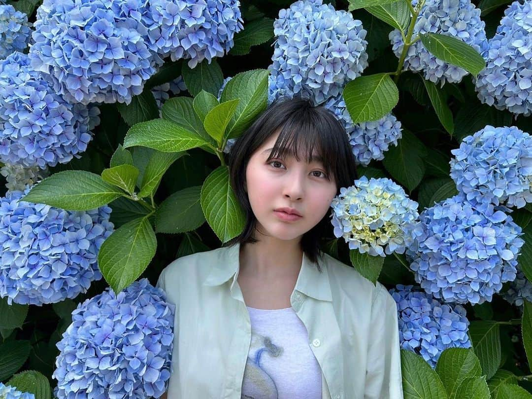 森マリアさんのインスタグラム写真 - (森マリアInstagram)「壱岐⑥  壱岐にはなぜか紫陽花がたくさん咲いてたよ！ 今の時期ならではの景色の中でドライブできて楽しかった✨  #壱岐 #紫陽花 #旅日記」6月26日 13時24分 - maria_mori_official