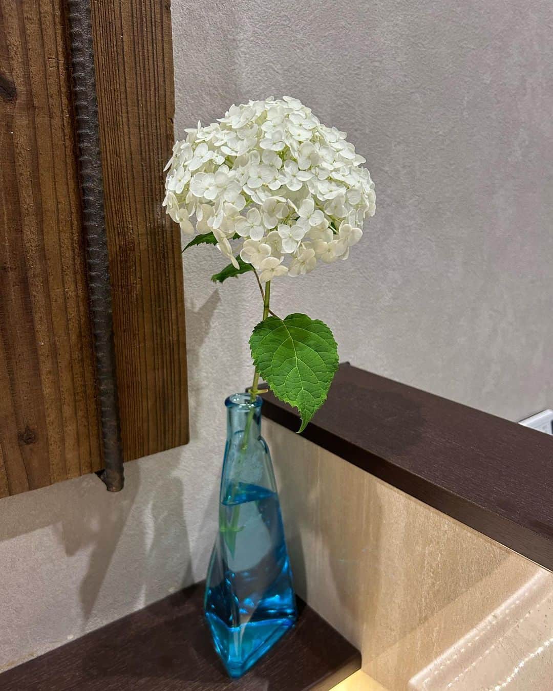 R!Nのインスタグラム：「職場の花が新しくなりました 白い紫陽花の花言葉は「一途な愛情」  花言葉って素敵だなぁ」