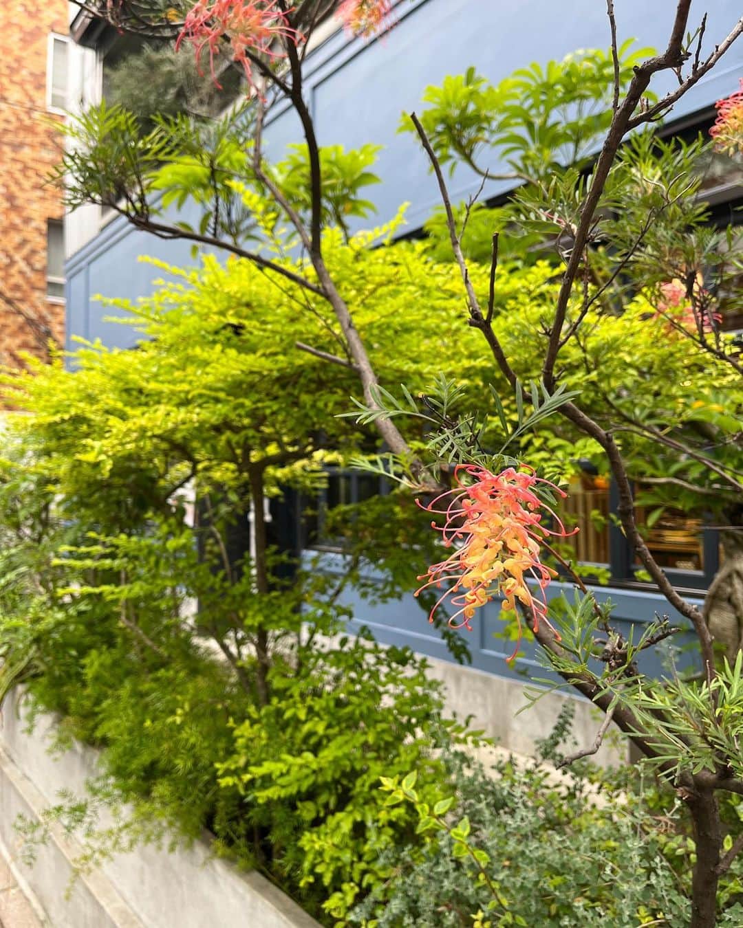 green bean to bar CHOCOLATEのグルメインスタ