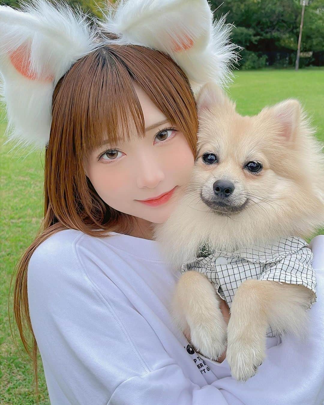 すみれおじさんのインスタグラム：「お出かけぽんさん🐶  #me #photo #japan #japanese #japanesegirl #kawaii #girl #selfie #portrait #pomeranian #doglover #デカポメ」