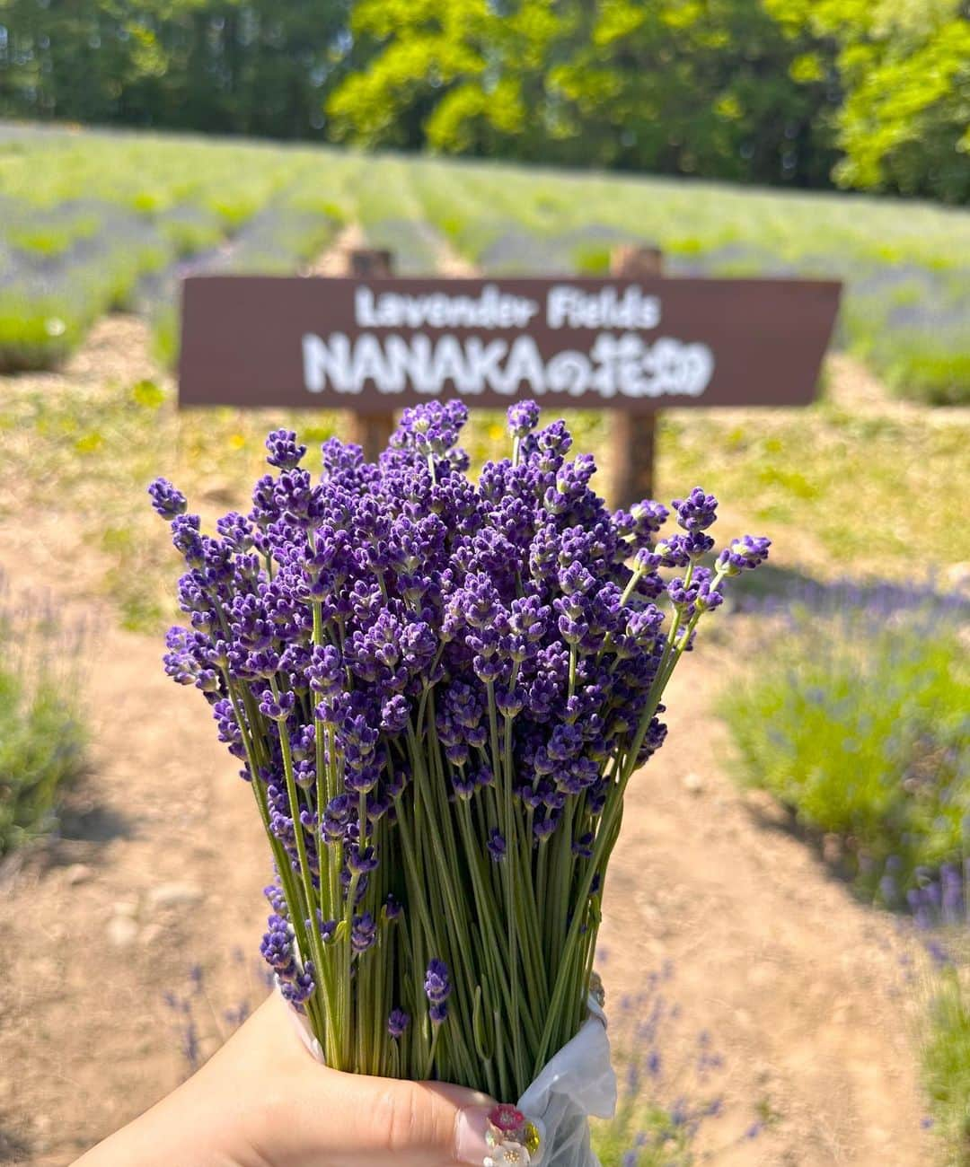 高嶋りえ子のインスタグラム：「✈️今週は北海道🌼🐄 ①NANAKAの森はかなりおすすめ⭐️⭐️⭐️ ここに来るだけのために富良野に行きたいほどおすすめ、 まず珍しいラベンダー摘み取り体験が出来ること、 日本人が多く、外国人に知られていない静かにラベンダー摘み取り体験ができます。ファーム富田の外国人の騒ぎ声とマナーの悪さに疲れた方はこちらへ いい香りと若干浅野忠信さん似の優しい店主さんの笑顔に癒されます✨無料の佐藤錦のさくらんぼ🍒も美味しかったです✨✨✨  ②ジャンボ福寿司はおすすめしません🍣🫥🫥🫥 店員さん同士の仲が悪いのか終始喧嘩&ネギトロ巻き5000円ウニ丼1万円、ご飯はシャリ多すぎ🍚お値段は海外観光客向け銀座より高いです。お味は...ここ本当に北海道？と誰かに電話して確認したくなる味、醤油がかかってシャリが特大で出てくるのが富良野寿司🍣の特徴  今月は岡山、福岡、佐賀、熊本、宮崎へ行きました✈️🏝次のフランスは今月末を予定🎉高嶋化粧品&高嶋オリジナルスカート&フレンチアパレル販売中  ✏️知らない非公開アカウントは全てブロックしています。  🌺 🌺✈️shopping &travel to Paris&London &JAPAN🌸kyoto→Tokyo→Paris→London→SAGA✈️⛩🥰🌸🏝☀️高嶋パリ支局開設🎉✨パリ・ベルギー・モナコ・オーストリアでお買い物 Thank you for watching. I will introduce my favorite Japanese food and the beautiful scenery of Japan, the kimono. Thank you for following me.  🎉✨【blog】アメブロhttps://ameblo.jp/ginzatakashima1/ 🎉✨【contact】問い合わせcosme@💠#着物女子  💠#きもの ginzatakashima.co.jp 🎉✨【shop】高嶋化粧品https://ginzamama.shop-pro.jp/ 🎉✨【Twitter】ツイッターhttps://twitter.com/ginzatakashima?ref_src=twsrc%5Egoogle%7Ctwcamp%5Eserp%7Ctwgr%5Eauthor 🎉✨【YouTube】ユーチューブhttps://youtube.com/channel/UCz2I6_nWCHcr7YlkkFyJWwg  会員様以外のご質問には何一つお答えする気がございません 悪質な名誉毀損・営業妨害・肖像権侵害は全て弁護士にお任せしています。  💠#北海道旅行  💠#美瑛  💠#インザループ  💠#ピコタンロック  💠#北海道ソフトクリーム  💠#travelphotography  💠#ツヤ肌メイク  💠#nanakaの花畑  💠#エルメス 💠#HERMES 💠#japantravel  💠#japantrip  💠#富良野  💠#銀座のママ  💠#銀座ママ  💠#着物ヘア  💠#ラベンダー畑  💠#ファーム富田 💠#japanesefood  💠#japantravel  💠#japan_of_insta  💠#銀座ホステス  ✨✨✨✨✨✨ ✨✨✨✨✨ 商標侵害を発見された方は、下記のメールにてご連絡下さい👩‍🏫  ⚠️DM・コメント・勧誘・営業電話お断り ⚠️電話はお断りします。会話内容は全て自動録音 ⚠️現在、ホステスの募集はしておりません ⚠️銀座高嶋は同業者ご来店お断り ✨高嶋化粧品は私が開発した銀座りえ子ママEXホワイトモイスチュアー成分入り#louisvuitton  #美肌　#ootanisyouhei 詳しくはブロ🐶❤️👩‍🏫 #パワースポット巡り #大谷翔平 #birkin ✨👩‍🏫 銀座りえ子ママの美肌の秘密は高嶋化粧品✨#美しいキモノ  ワードプレスブログ https://ginzatakashima.net/ ・ ・ Management of cosmetics company and hostess bar 元失恋OLが3年で銀座のオーナーママ ✨Bar&Club高嶋🥂銀座4店都内10店舗経営 ✨詳しくはブログ『銀座ママ』でgoogle検索 📝アメブロhttps://ameblo.jp/ginzatakashima1 ・ ・ ✨銀座りえ子ママの美肌&ダイエットの秘密詳しくは ✨銀座のママが作った高嶋化粧品 🎀https://ginzamama.shop-pro.jp/ ・ ・ ⭐️取材・講演会・高嶋化粧品購入者はご入金後⭐️ 🎀cosme@ginzatakashima.co.jp 銀座クラブ&バー高嶋は完全会員制  一見さんお断り」