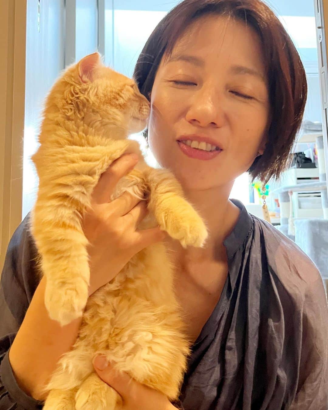 梅津弥英子さんのインスタグラム写真 - (梅津弥英子Instagram)「☺︎ こねこに会いに行きました。ふわふわ。おめめくりくり。 #こねこにゃん #ねこもふ  #かわちい #優しい飼い主にめぐり逢えてよかったね」6月26日 14時20分 - yaeko.umezu