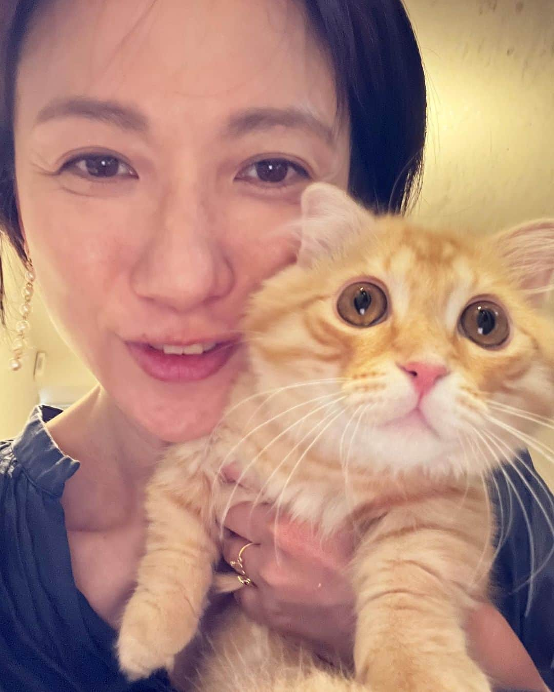 梅津弥英子さんのインスタグラム写真 - (梅津弥英子Instagram)「☺︎ こねこに会いに行きました。ふわふわ。おめめくりくり。 #こねこにゃん #ねこもふ  #かわちい #優しい飼い主にめぐり逢えてよかったね」6月26日 14時20分 - yaeko.umezu