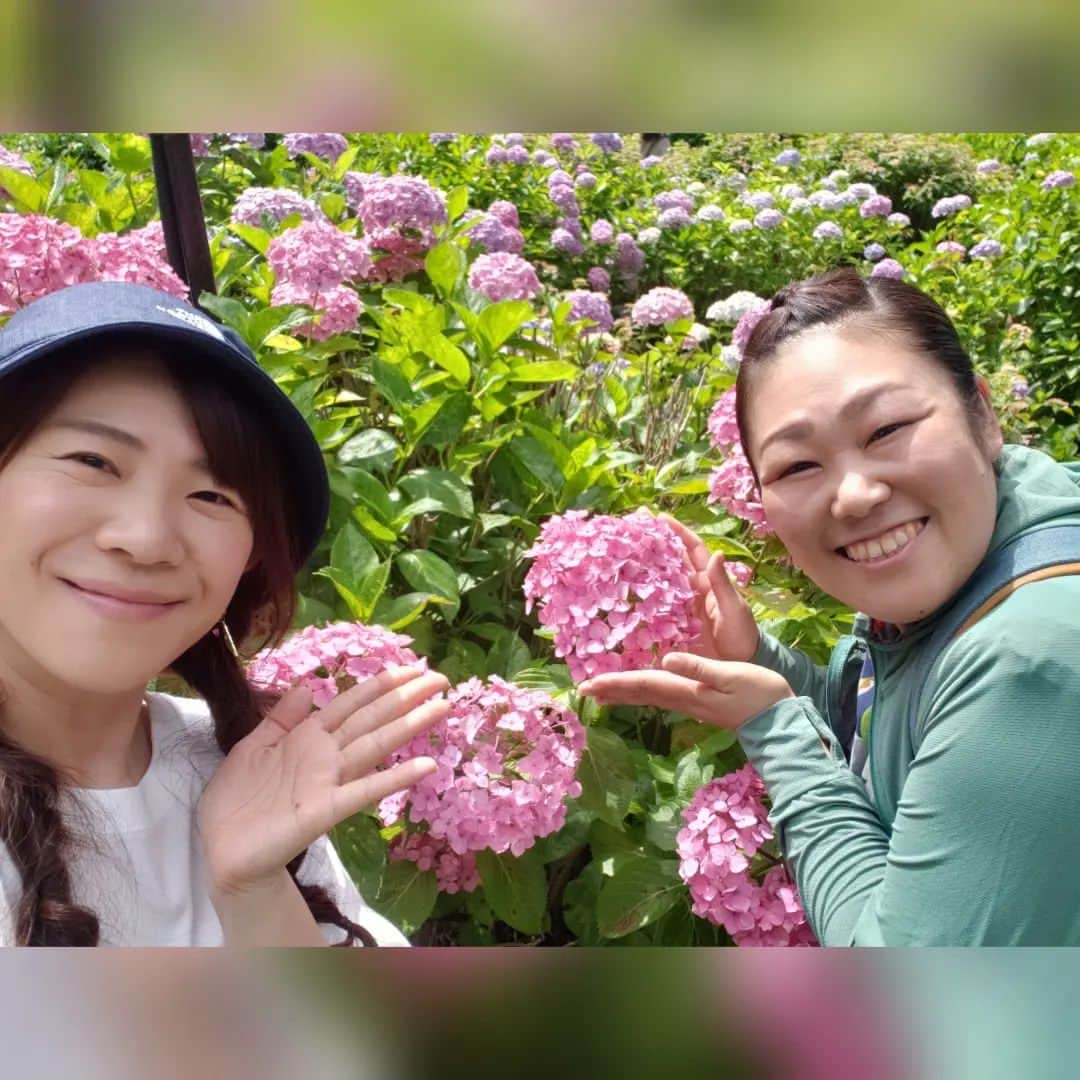 ぢゃいこのインスタグラム：「ぴでちーと一緒♡ この数年、宇治の三室戸寺へは服部ひで子ちゃんにお供して頂いてます✨ 三室戸寺へお参りして、紫陽花見て、グリーンティー飲んで、宇治茶パフェ食べて、お肉も食べて、、朝７時に出発して昼過ぎには解散☀️ ぴでちー、今年もありがとー！ #三室戸寺 #三室戸寺紫陽花 #三室戸寺あじさい園 #宇治 #ぢゃいこ #服部ひで子  #吉本新喜劇」