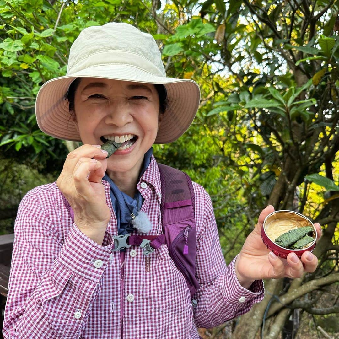 宮崎美子さんのインスタグラム写真 - (宮崎美子Instagram)「皆さん、こんにちは。  昨日、公開しましたYouTubeよしよし。はご覧いただきましたでしょうか？  登山に必要な行動食を作ってみました。登山家田部井淳子さん直伝です。 これさえあればどんな登山も怖くない！ ということで、登って来ました！ 標高330m！ 3300ではないですよ。330です。 千葉県にある名山鋸山です。  その登山の模様は、明日夜7時からBSテレビ東京の『ちょっと山頂へ〜絶景ニッポン低山紀行〜』でご覧いただけます。  同じ会社の後輩女優の久保田磨希さんと登ってきました。  330mと言いましても、結構たいへんだったんですよ。  ぜひ、ご覧くださいね。 明日夜7時です。  #bsテレビ東京 #テレビ東京 #ちょっと山頂へ #低山 #低山ハイク #低山登山 #鋸山 #久保田磨希 さん」6月26日 15時15分 - miyazakiyoshiko.official