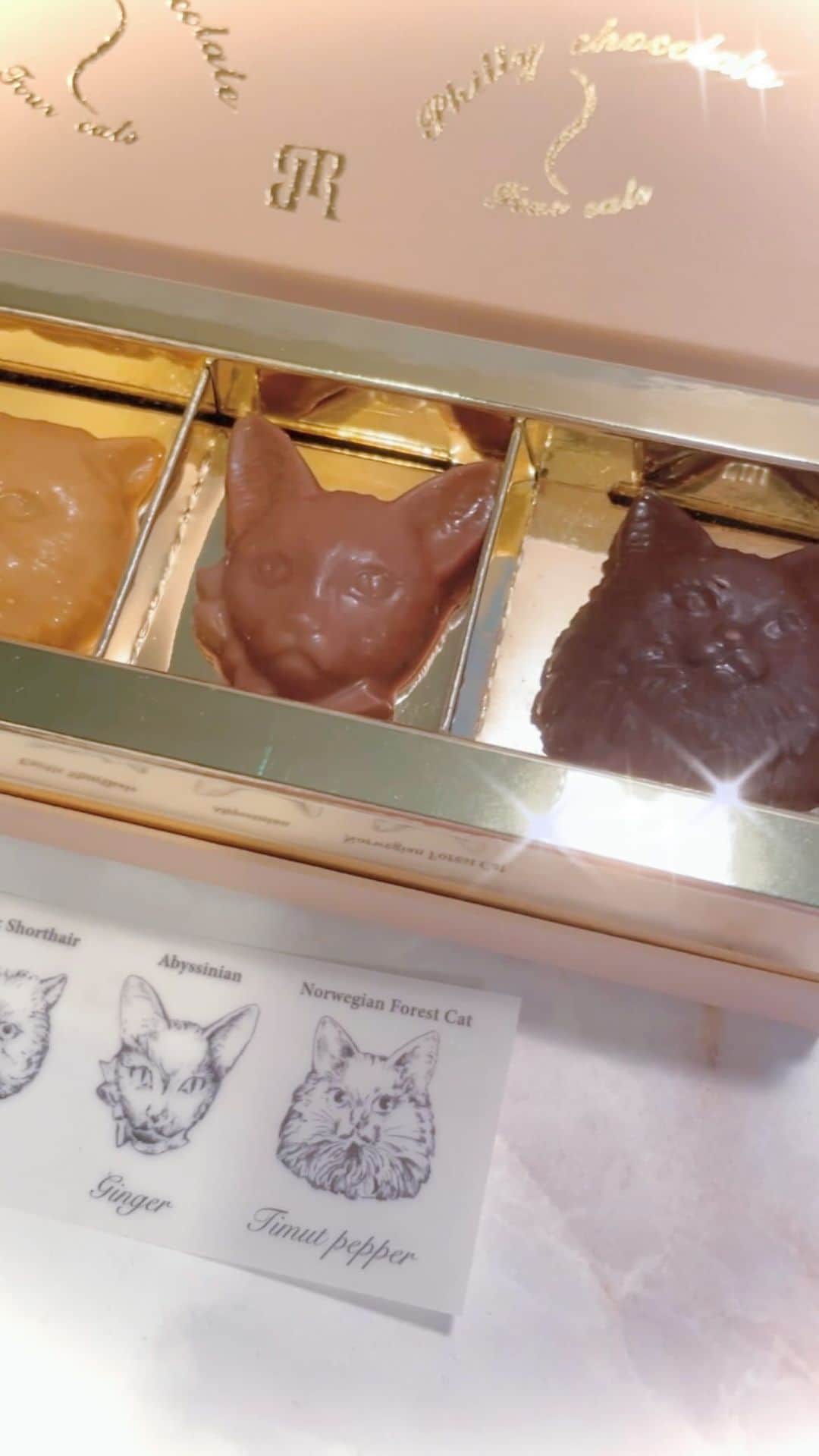 MOMOKOのインスタグラム：「⁡ @philly_chocolate  Cat bonbon chocolat 🐈🐈‍⬛ ⁡ 「少しミステリアスでピリッとした」 猫の雰囲気に合わせた4種類のテイスト (このフレーズもかわいい🥺) ⁡ ⁡ 勿体無くてまだ眺めていたいので 賞味期限ギリギリに人間が美味しくいただきます(´ฅωฅ`) にゃんこにチョコは禁忌ですので しなもんには自慢だけしました👅ごめんね ⁡ ⁡ 大先輩ルージュ先生💋 ありがとうございます🥹♡ ⁡ かわいい人がつくるかわいいもの、尊いナァ😆❕ (突然のおじ)  #phillychocolate」
