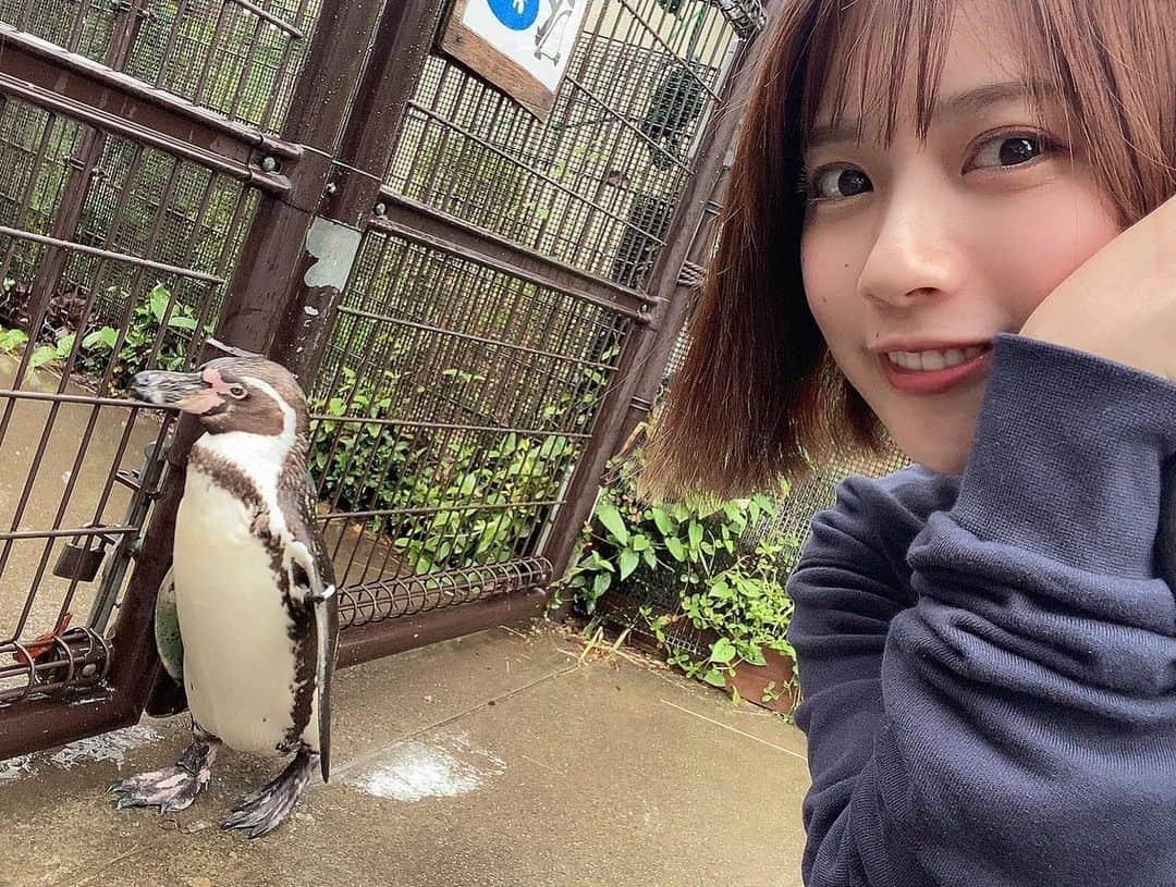 三田寺理紗のインスタグラム：「数年ぶりにクオッカ見に #埼玉こども動物自然公園 いってきたよ〜！  すんごい雨だったけど、そんな日の動物園もいいなぁと感じた。動画にすると思うのでお楽しみ〜」