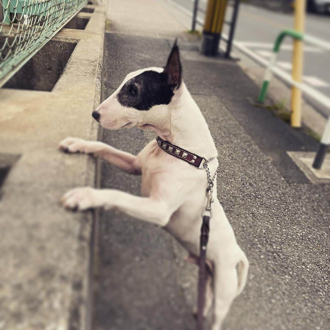Q太郎のインスタグラム