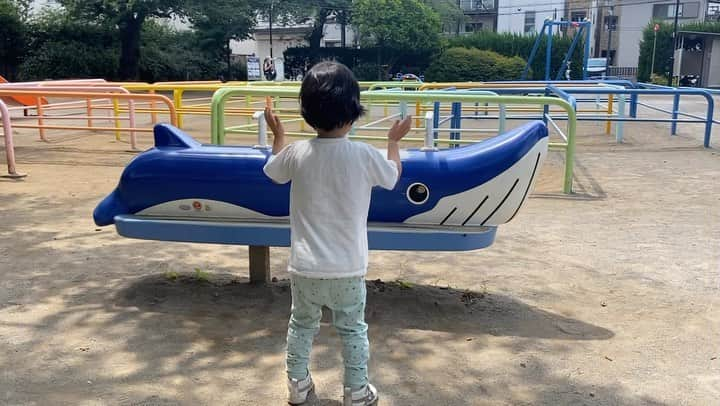 せとたけおのインスタグラム：「突然、クジラ揺らし始めて、手拍子してた。」