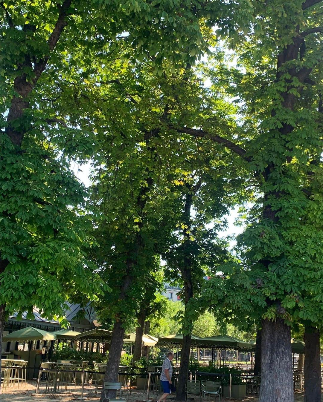 やすみりえさんのインスタグラム写真 - (やすみりえInstagram)「🇫🇷Bonjour!  2ヶ月振りの#パリ　です😊  朝は#リュクサンブール公園  をお散歩。 緑が青々と美しく輝いてます🍃 木陰のベンチで、 浮かんだ言葉をメモメモ📝✨  #川柳#ことばの力#ことのは#575 #言葉を紡ぐ#作句 #句を詠む #創作活動  #france #paris #5e #luxembourg  #フランス大好き#パリ大好き  #朝散歩」6月26日 16時51分 - rie575kotonoha