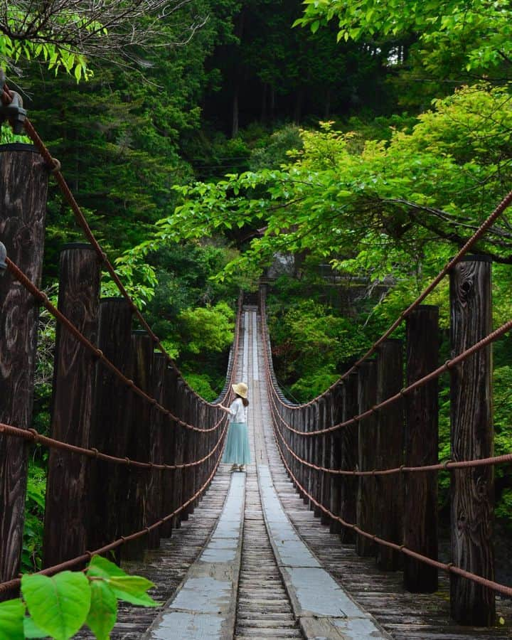 和みわかやまさんのインスタグラム写真 - (和みわかやまInstagram)「. 龍神温泉が有名な、龍神村にある吊り橋⛰道の駅龍神のすぐ後ろにあります🍃  📷：@makorontakapon 📍：熊野エリア 田辺市  #グッドトリップ和歌山 投稿キャンペーン優秀賞からのリポストです😉 . . . #和歌山 #和歌山観光 #和歌山旅行 #わかやま #和みわかやま #wakayama #wakayamajapan #wakayamatrip #wakayamatravel #nagomi_wakayama #wakayamagram #龍神村 #吊り橋 #道の駅 #龍神温泉 #新緑 #bridge #inthewoods #tanabe #roadsidestation #旅行 #国内旅行 #旅行好きな人と繋がりたい #観光 #travel #trip #travelgram #japan #travelphotography」6月26日 17時00分 - nagomi_wakayama_tourism